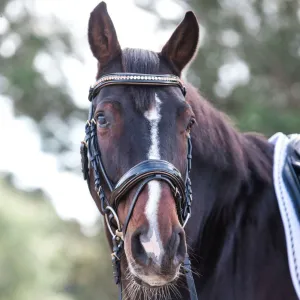 Amalfi Black Patent Sparkle Snaffle Bridle - Rolled