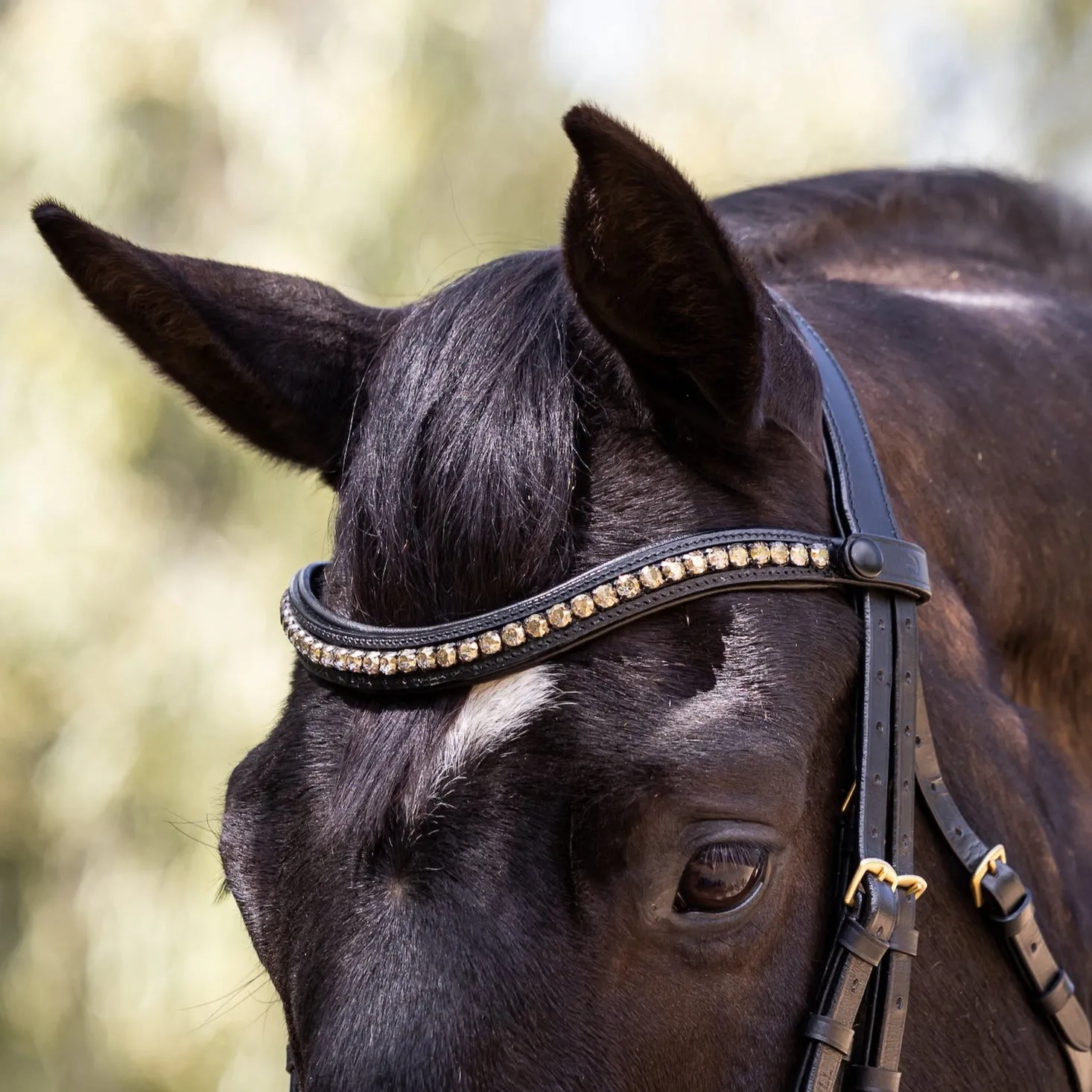 Birmingham Non-Patent Black Leather Double Bridle