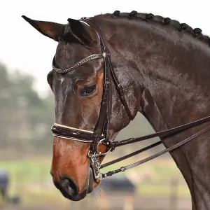 Busse Double Bridle Luxury