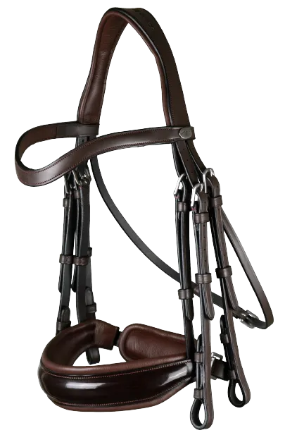 Dy'on Large Crank Noseband Double Bridle WOECAR/S/T