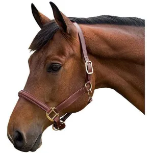 Flex Rider Cognac Raised Leather Halter