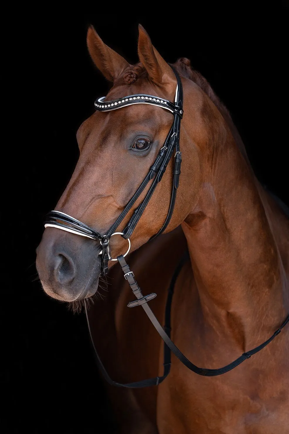 HKM Bridle Carolin
