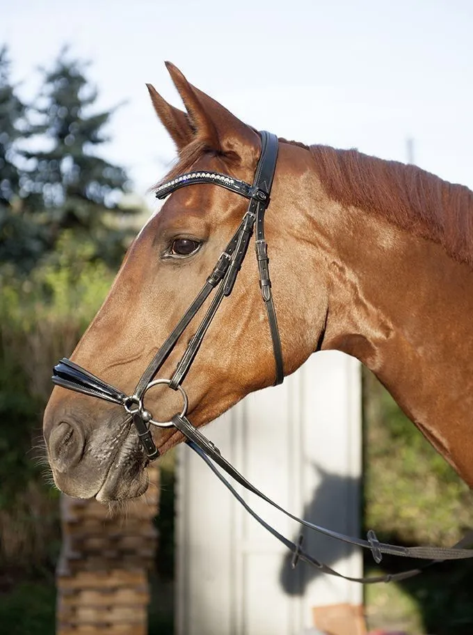 HKM Bridle Carolin