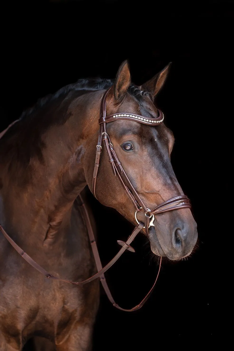 HKM Bridle Carolin
