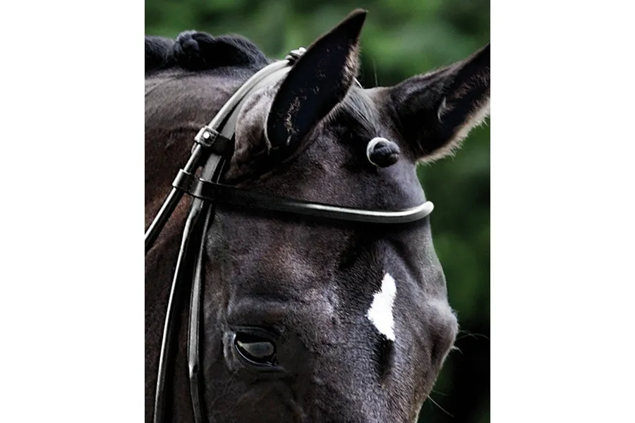 Passier Round Browband