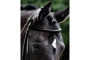 Passier Round Browband