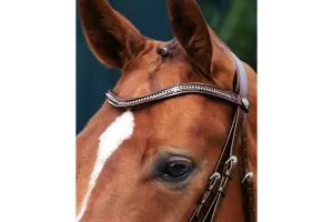 Passier Waved Patent Leather Browband with Strass Crystals